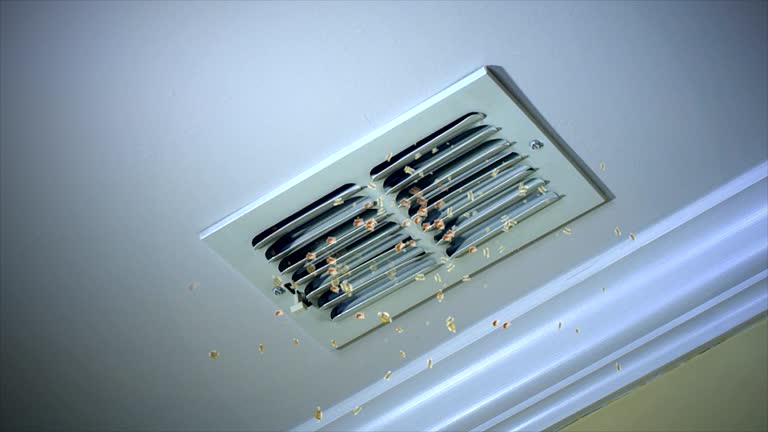 Best Duct Cleaning for Homes  in Kitty Hawk, NC