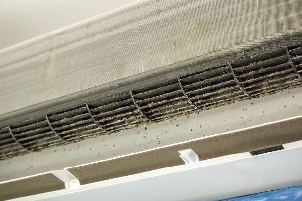 Best Air Quality Test  in Kitty Hawk, NC